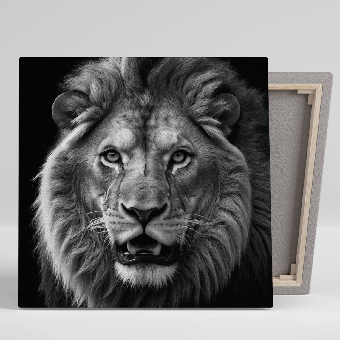 Majestic Lion Black White Monochrome Face Close Up Powerful Animal Art