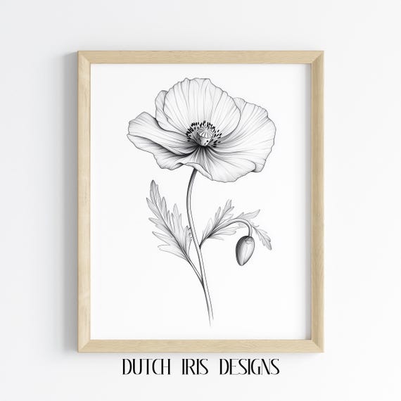 Black Line Poppy Drawing Elegant Floral Art Minimalist Botanical Decor Modern Wall Print Bold Flower Illustration 507