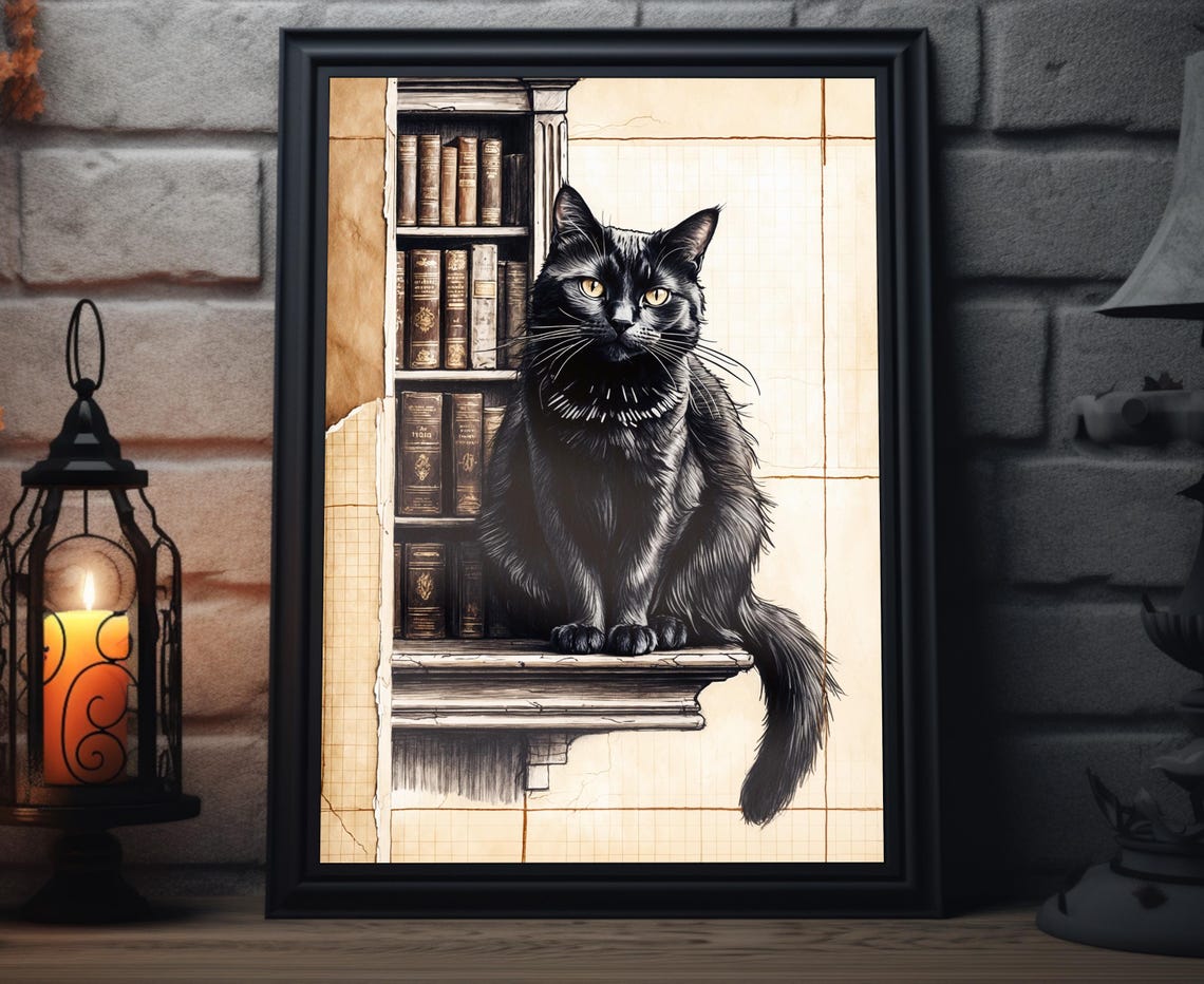 Black Cat Sitting On Vintage Library Bookshelf Sketch Art Poster