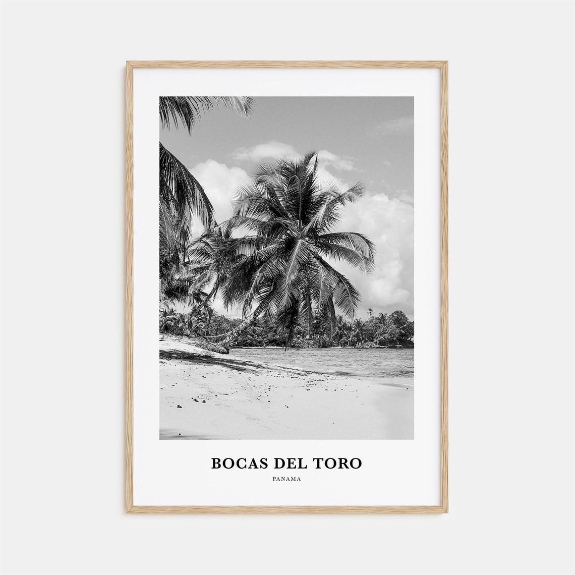Bocas del Toro Panama Palm Fringed Beach Black and White Poster