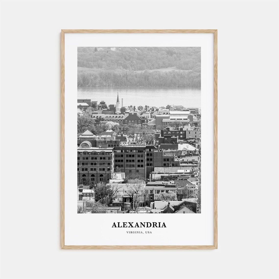 Alexandria Virginia Old Town Rooftops Black and White Travel Poster
