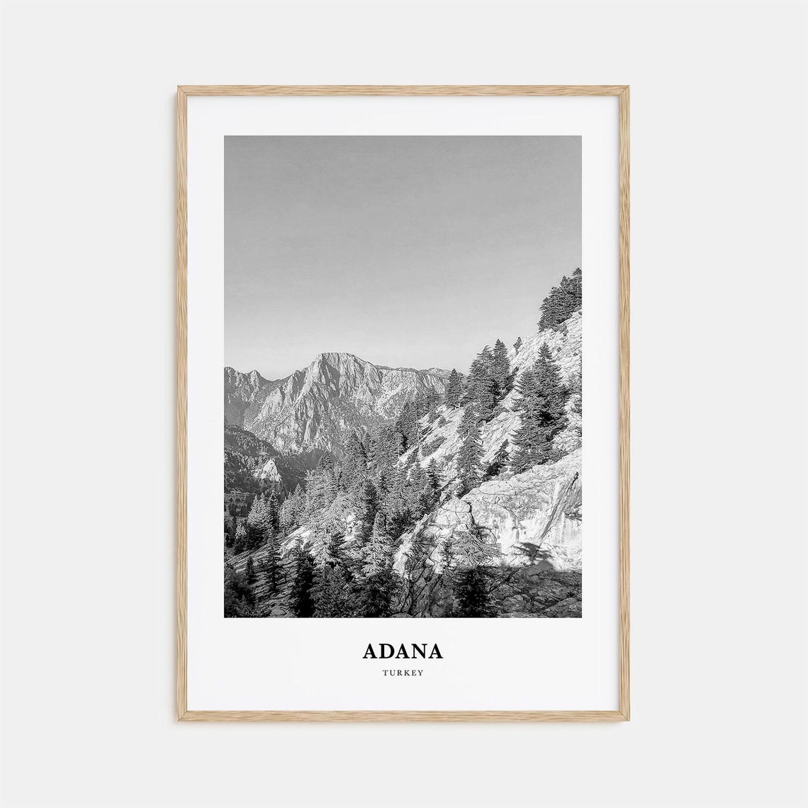 Adana Turkey Forest Mountain Peaks Black and White Travel Poster