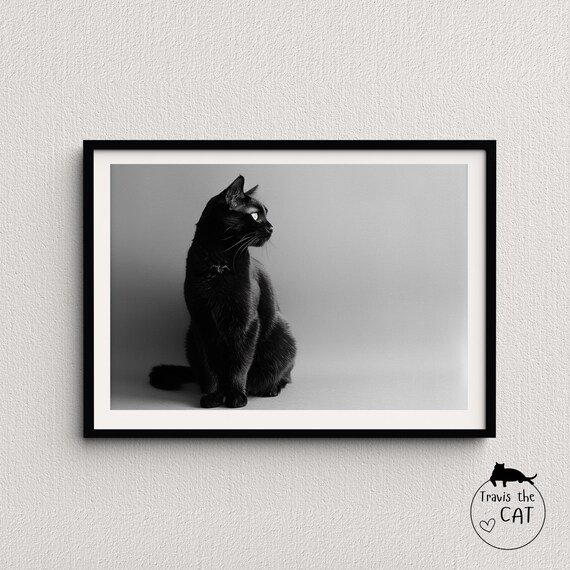 Black Cat Profile Minimalist Black and White Studio Photography Poster
