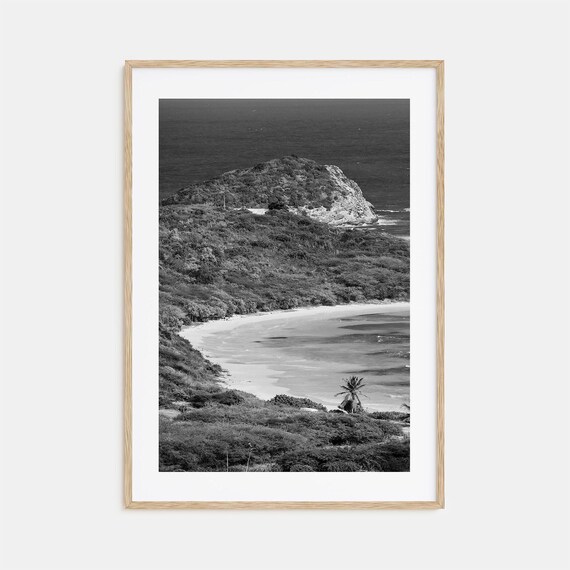 Tropical Coast Hills Bay Palm Black White Island View Poster