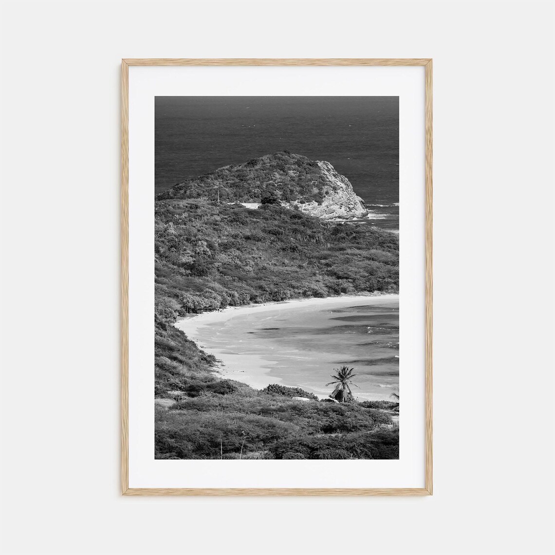 Tropical Coast Hills Bay Palm Black White Island View Poster