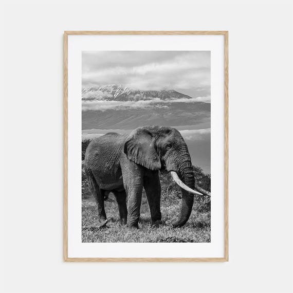 Elephant Photo Poster Print No 2 Elephant Black And White Art Elephant Wall Photography Elephant Travel Elephant Map Poster