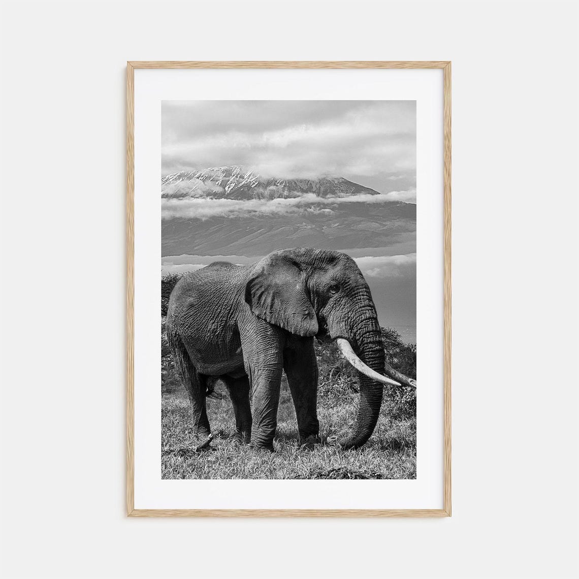 Elephant Photo Poster Print No 2 Elephant Black And White Art Elephant Wall Photography Elephant Travel Elephant Map Poster
