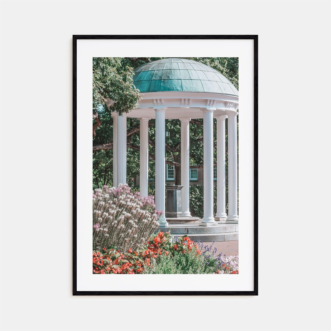 Chapel Hill Travel Poster, City Map Wall Art