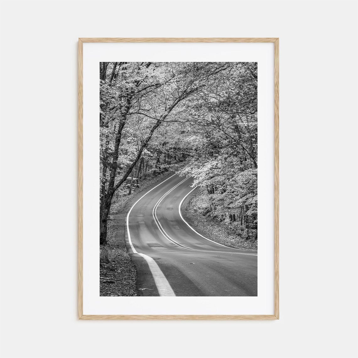 Winding Forest Road Under Canopy Black and White Drive Poster