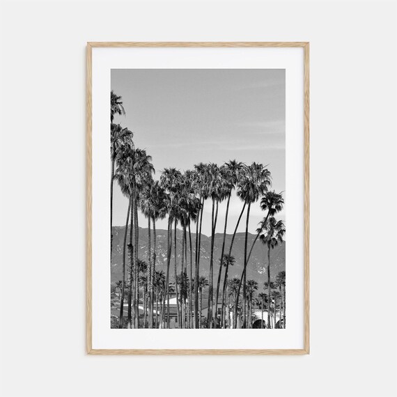 Santa Barbara Palm Trees Black And White California Coast Poster