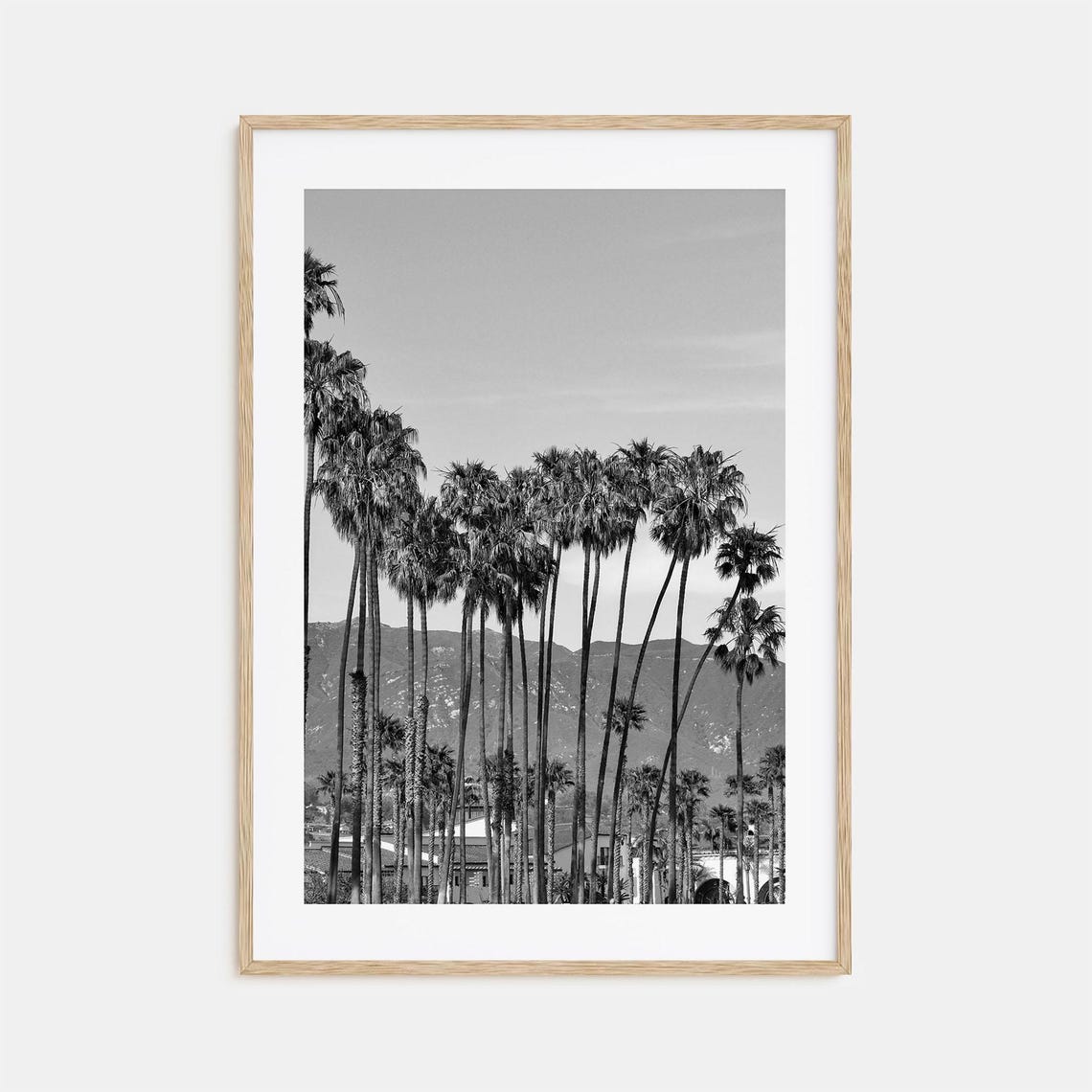 Santa Barbara Palm Trees Black And White California Coast Poster