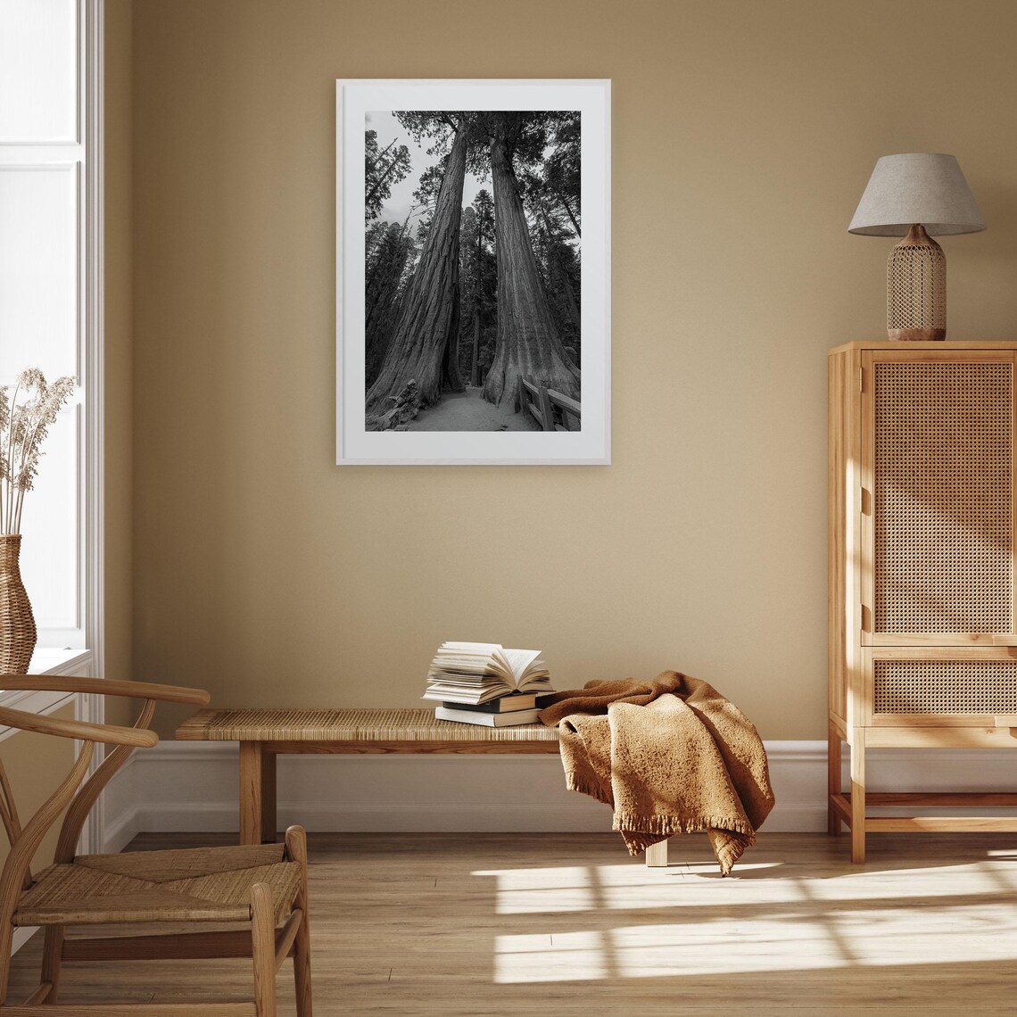 Redwood National Park Giant Trees Black And White Photo Poster - Image 3