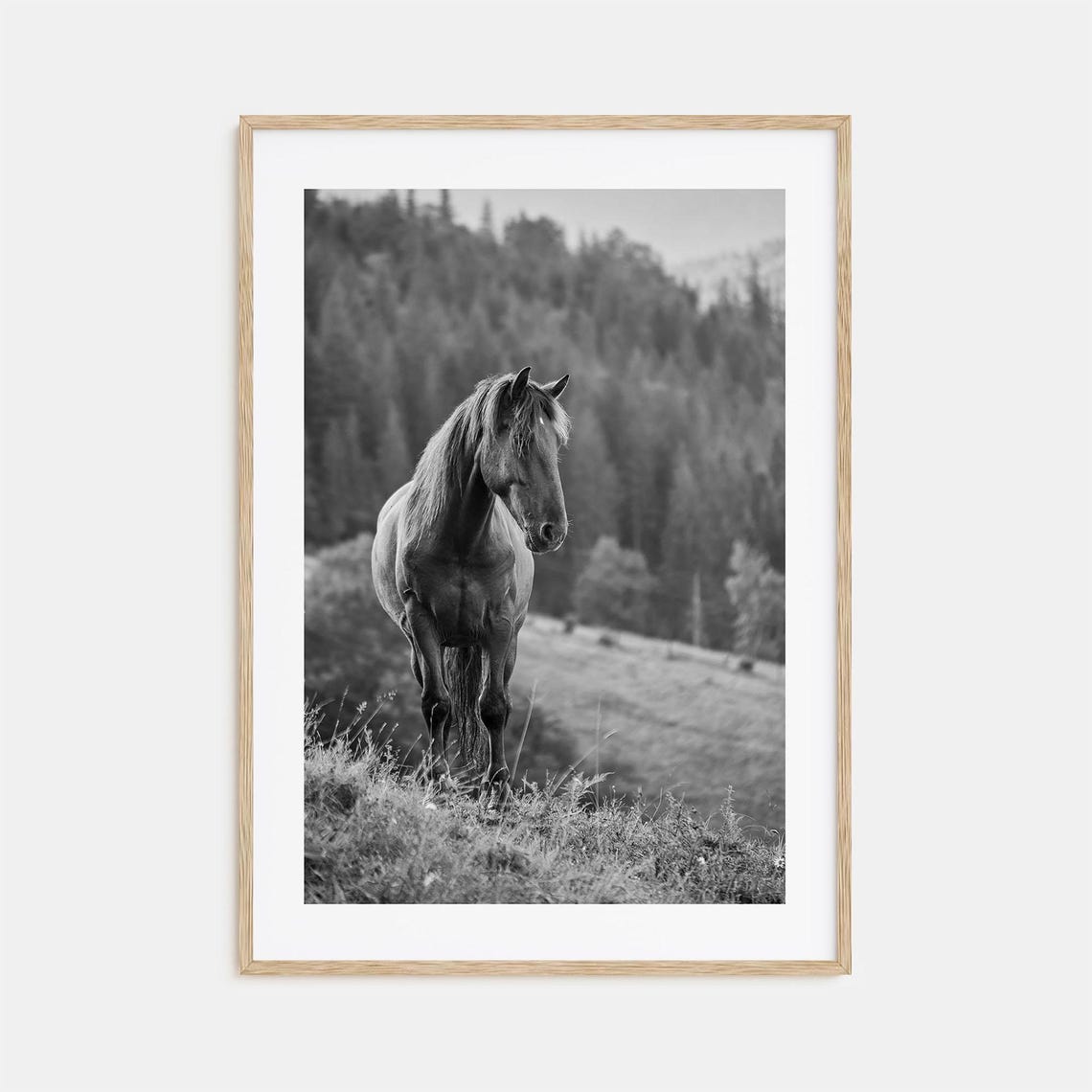 Horse Photo Poster Print No 1 Horse Black And White Wall Art Horse Wall Photography Horse Travel Horse Map Poster