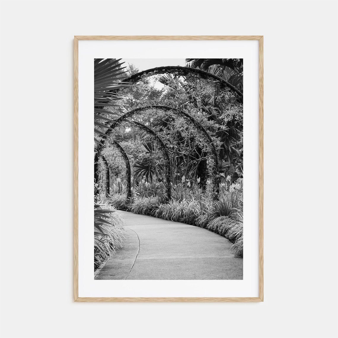 Tropical Garden Pathway Under Leafy Arches Black White Photo Poster