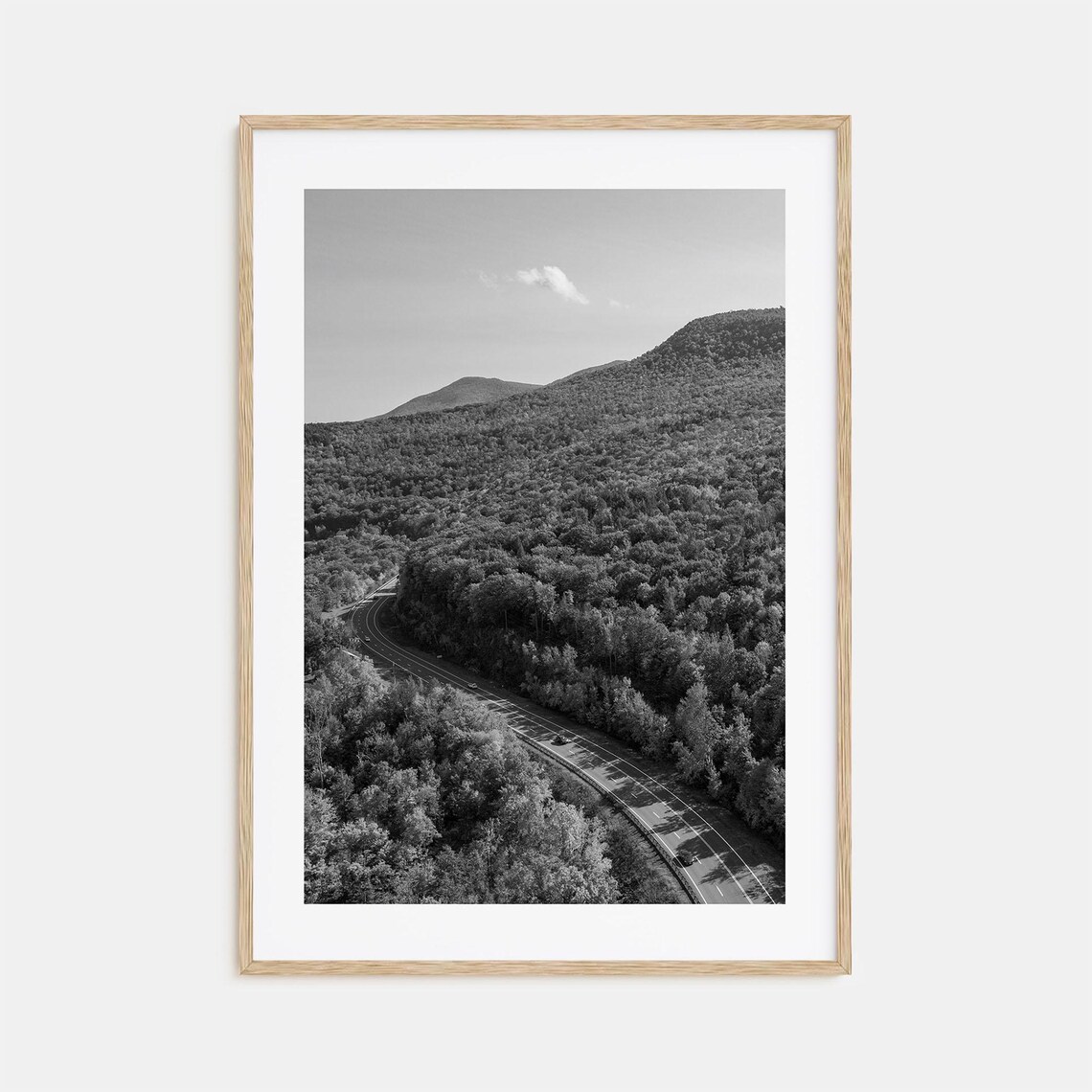 Catskill Mountains Winding Forest Road Aerial Black and White Poster