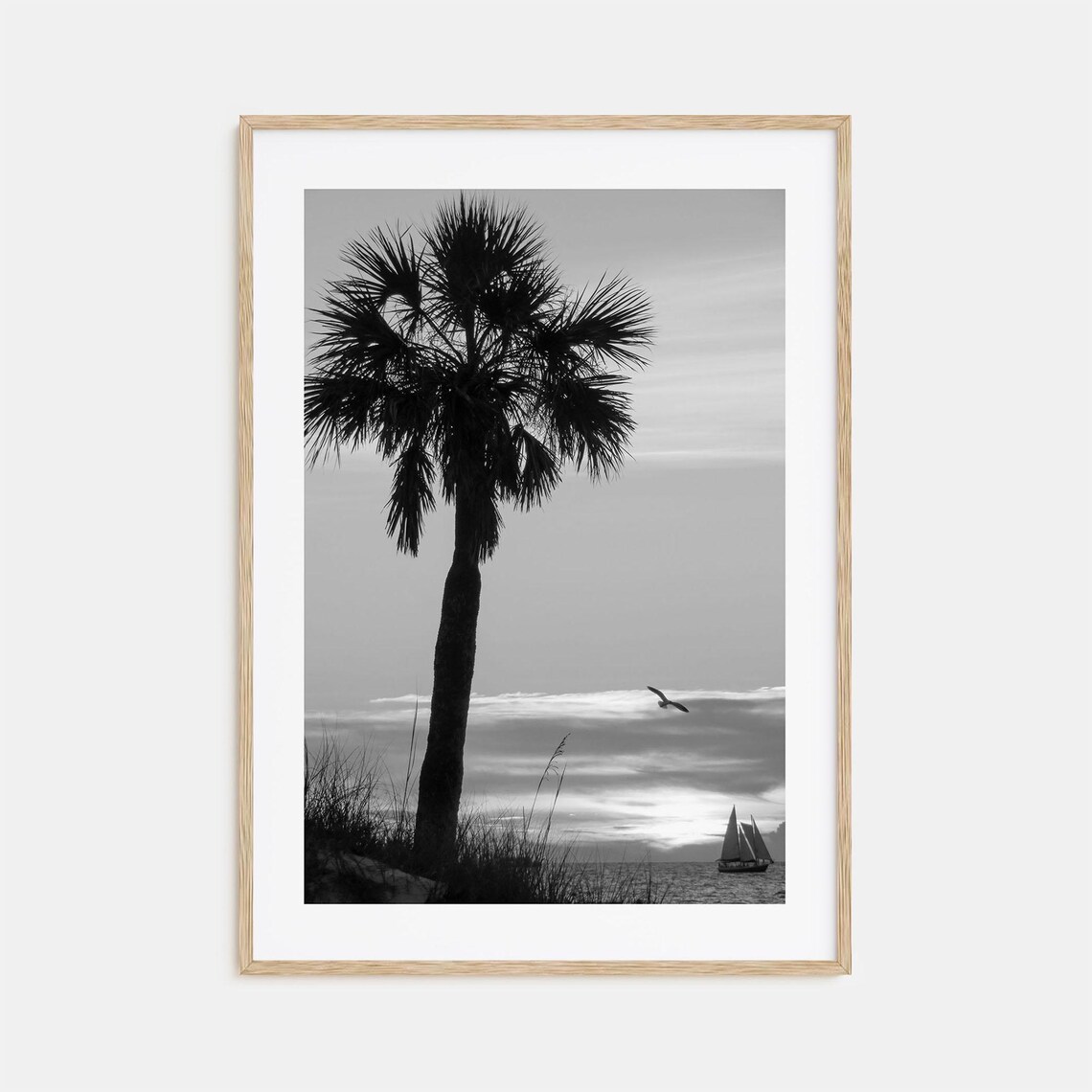 Clearwater Palm Tree Silhouette Sunset Sailboat Black White Poster