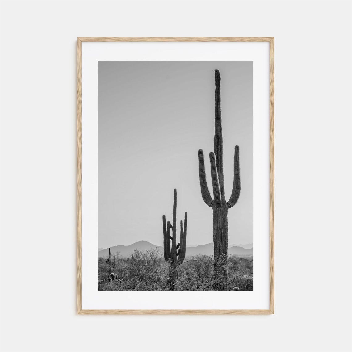 Sonora Desert Saguaro Cacti Black And White Southwest Poster