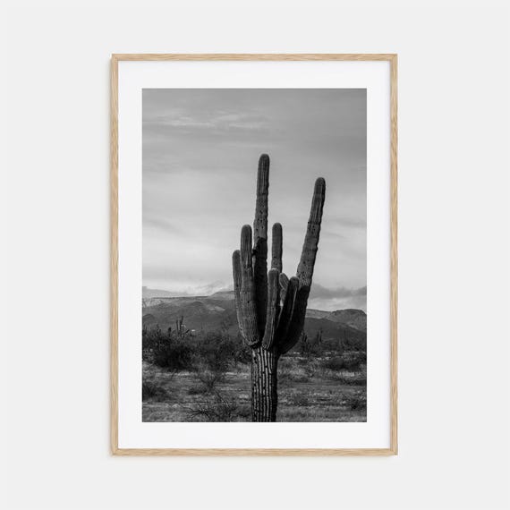Phoenix Black And White Travel Poster, Map Art Print