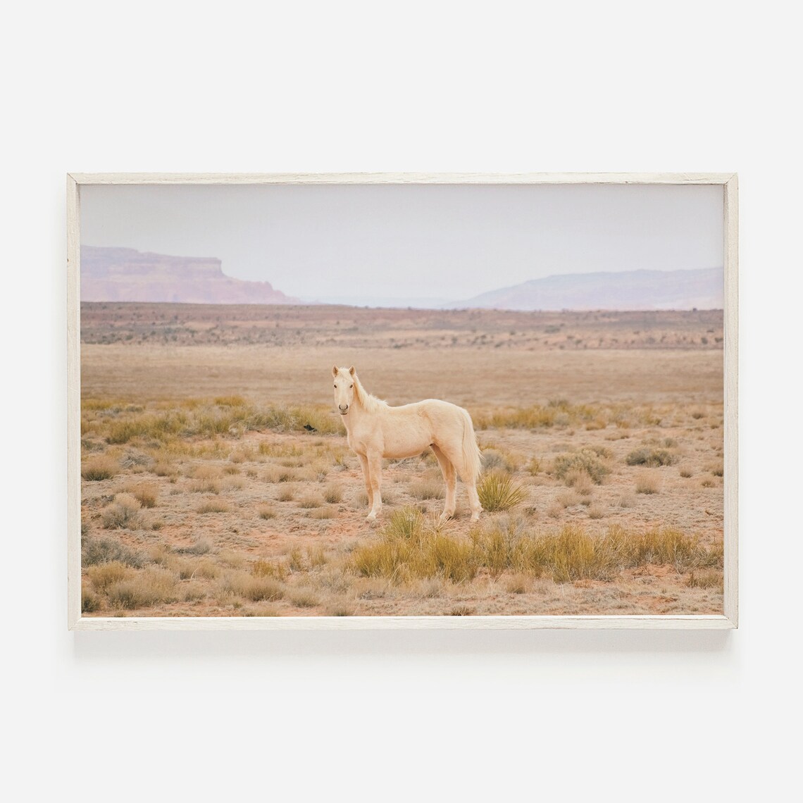 Palomino Desert Horse in Utah, Rustic Nature Art Print