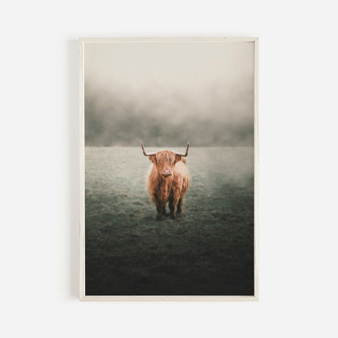 Highland Cow in Misty Field, Farmhouse Rustic Poster