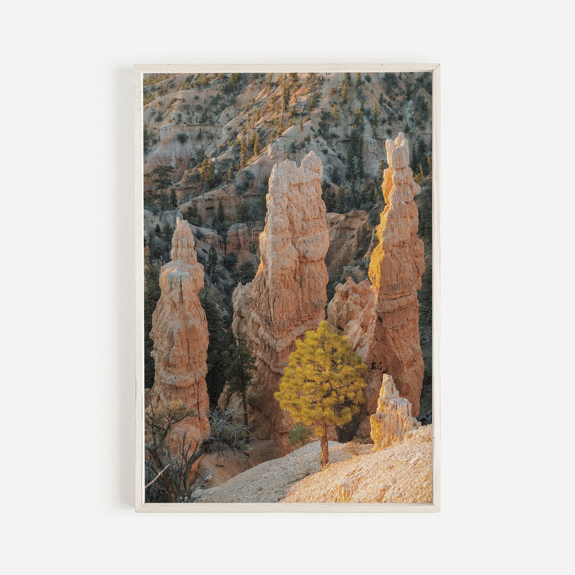 Sunlit Bryce Canyon Hoodoos At Golden Hour Utah Desert Rock Poster