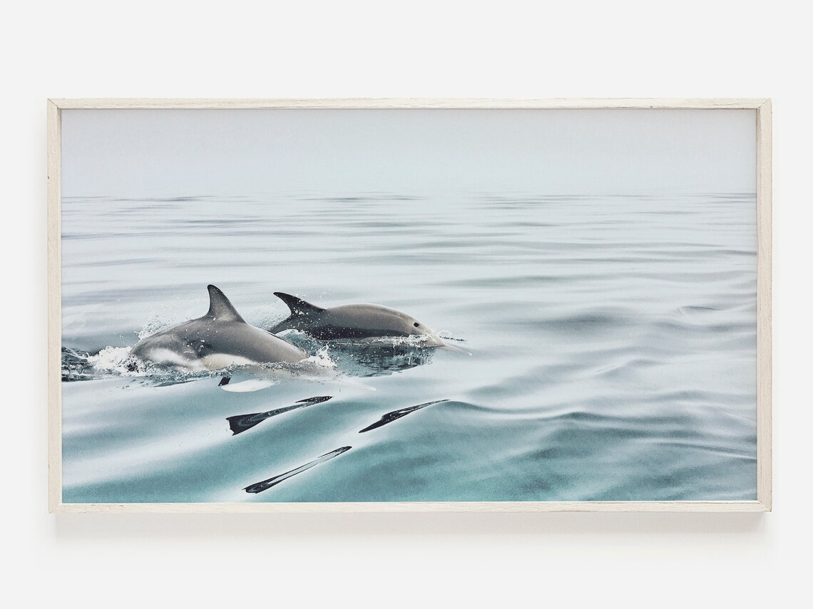 Dolphin Ocean Animal Art Print, Coastal Decor
