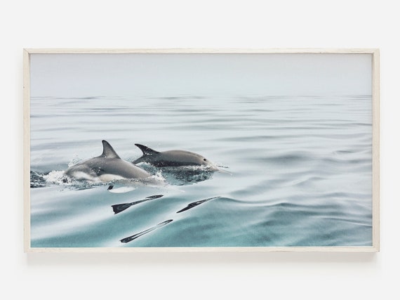 Dolphin Ocean Animal Art Print, Coastal Decor
