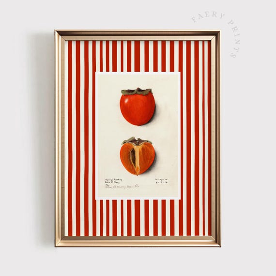 Tomato Print Red Kitchen Wall Art Modern Farmhouse Rustic Home Decor Vintage Vegetable 1442