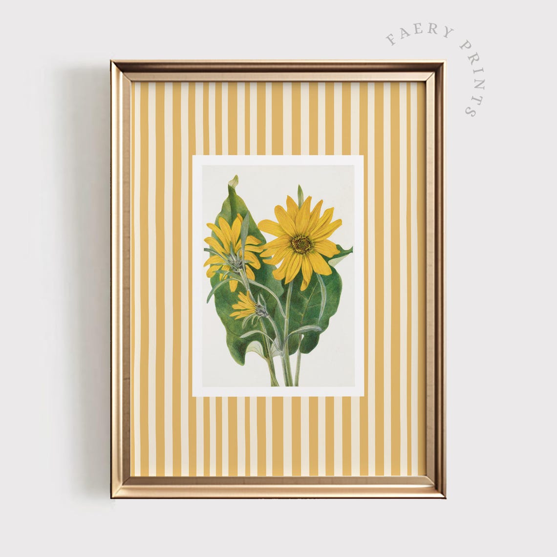 Sunflower Botanical Illustration Yellow Stripe Floral Wall Art
