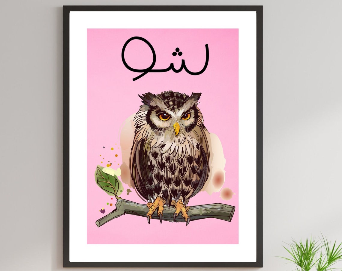 Funny Arabic Shou Boumeh Owl Print Lebanese Slang Humor Poster - Image 4
