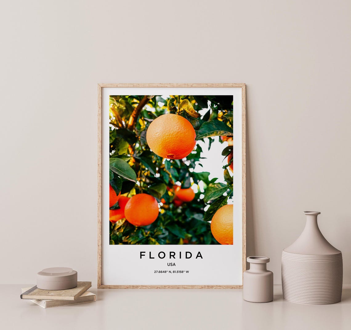 Florida Orange Grove Sunlit Ripe Citrus Fruit Tree Photo Poster - Image 2