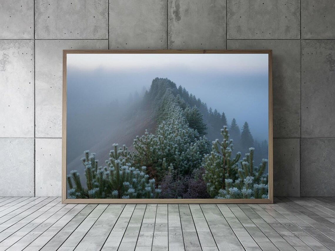 Misty Mountain Ridge Pines Foggy Landscape Photography Poster