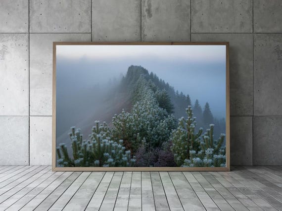 Frosty Pines Wall Art Misty Forest Ridge Print Moody Nature Landscape Winter