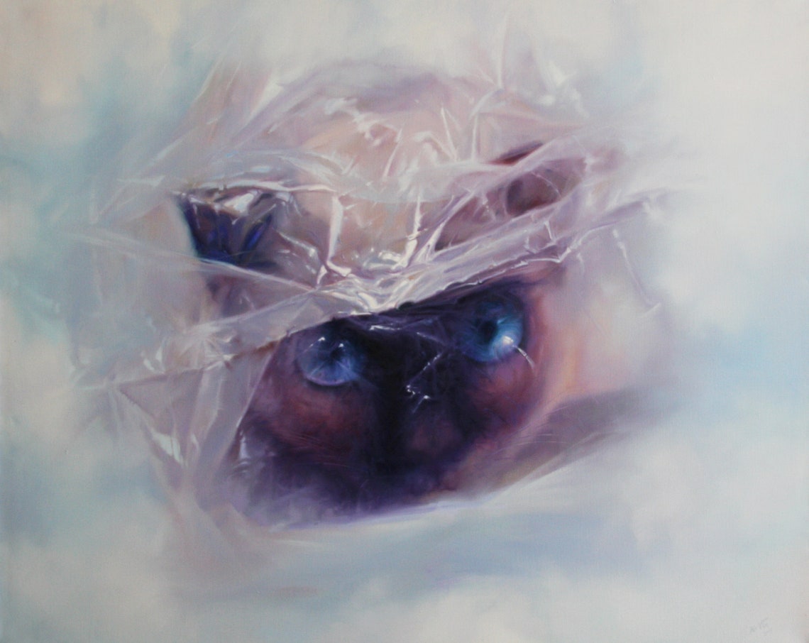Siamese Cat Blue Eyes Peeking Through Plastic Sheet Oil Painting Print