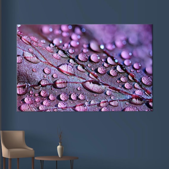 Purple Leaf Water Droplets Macro Botanical Photography Poster