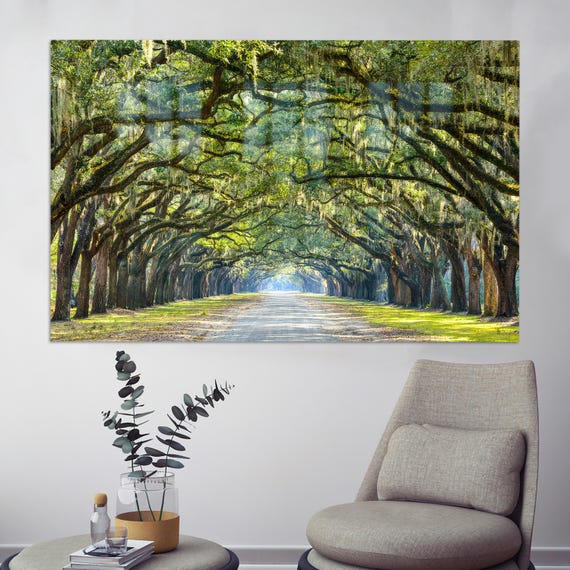 Stunning Line Glass Decor Of Oak Trees Wall Art View Hanging 3d Canvas