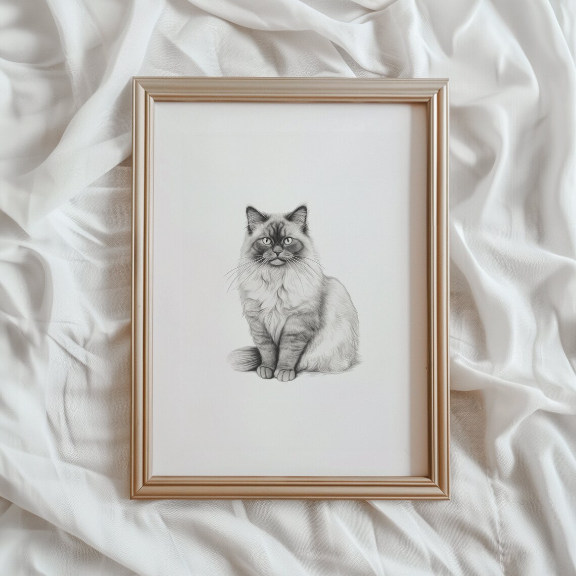 Ragdoll Cat Sketch, Black And White Art Print