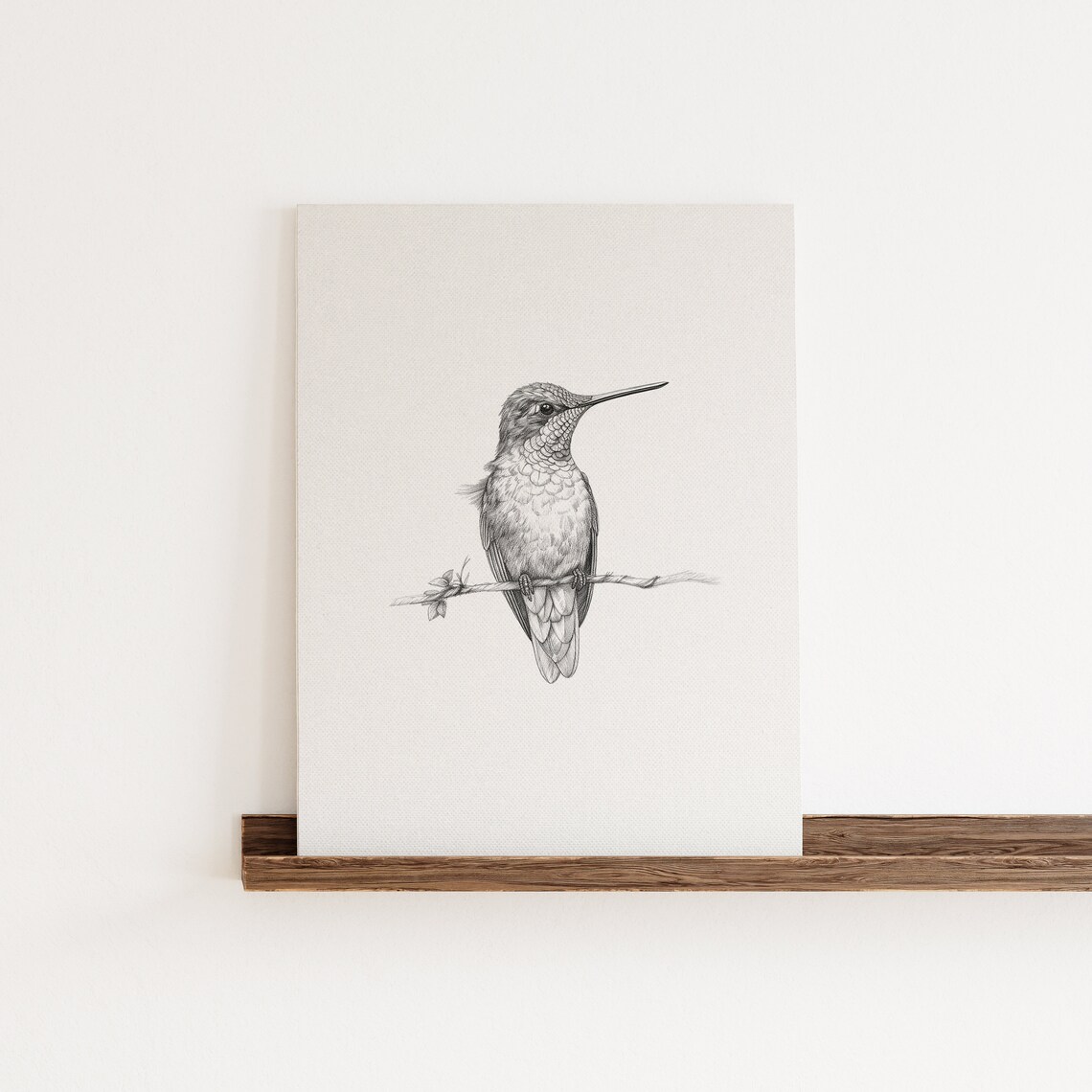 Hummingbird Sketch Art Print, Monochrome Bird Art - Image 4