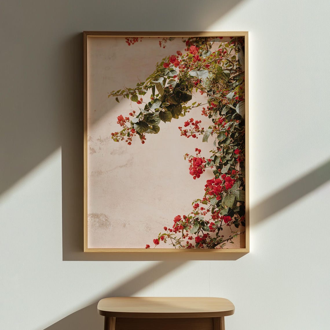 Red Bougainvillea Flowers Climbing a Sunlit Wall Photo Poster