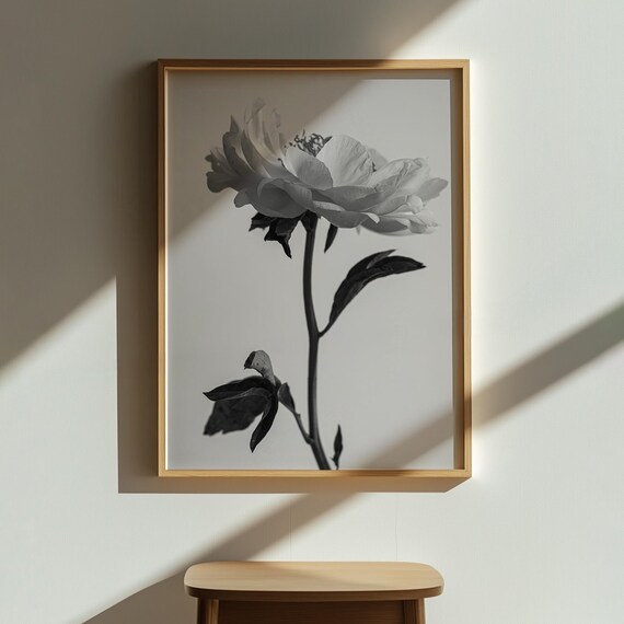 Black and White Peony Flower Photo Elegant Botanical Minimalist Wall Art