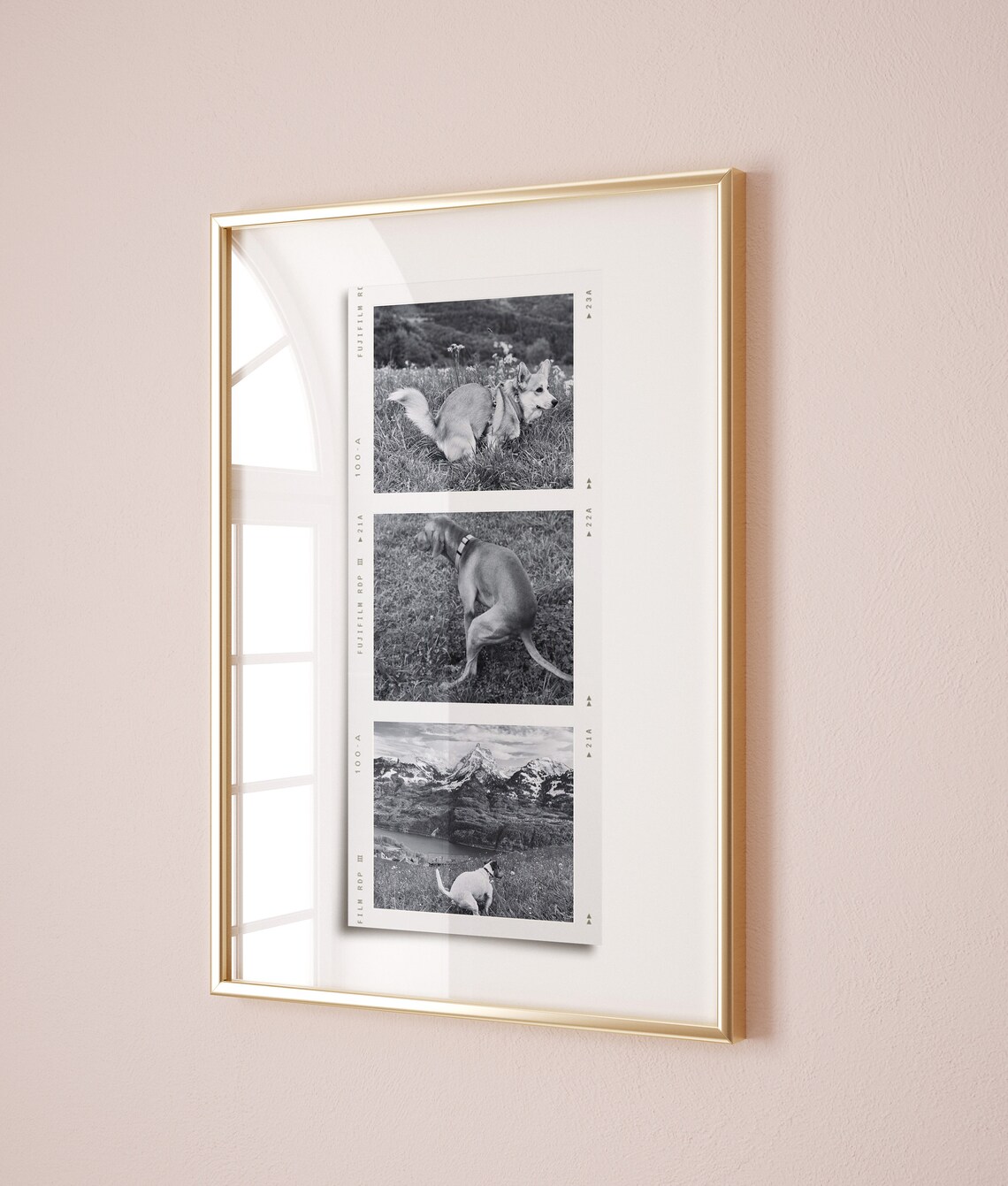 Funny Dog Pooping Film Strip Photo Collage Bathroom Poster Decor - Image 2