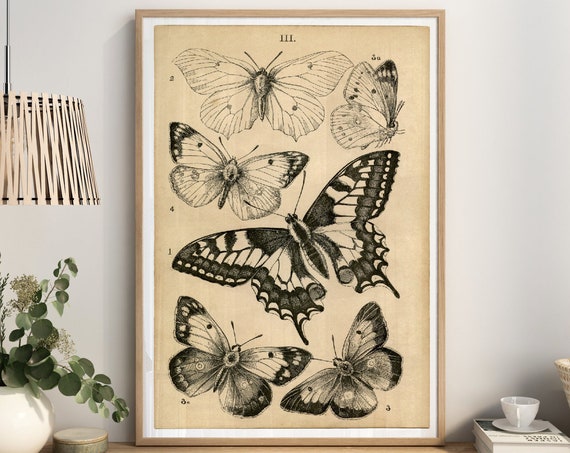 Vintage Butterflies Chart Poster Art Deco Vintage Print Colorful Wall Art Large Wall Art Print Decor Retro Butterfly Poster
