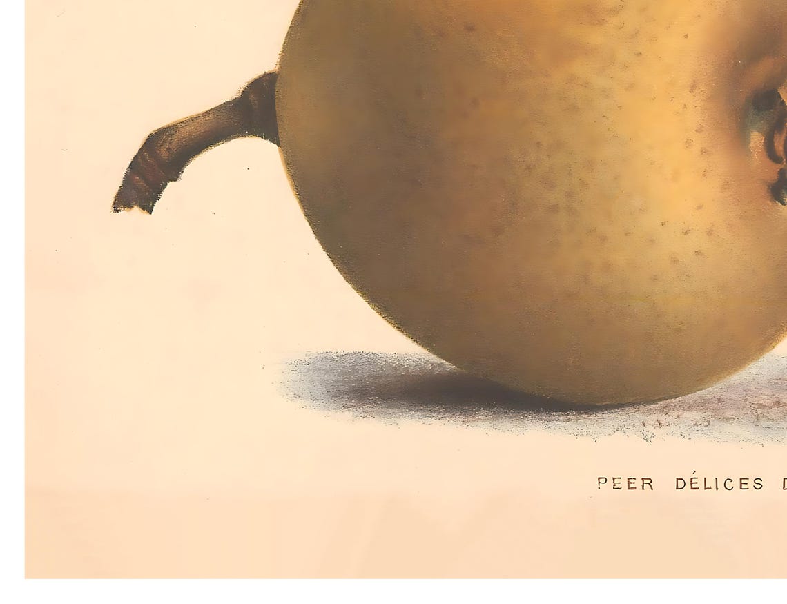 Peer Delices de Froyennes Vintage Fruit Botanical Illustration Poster - Image 2