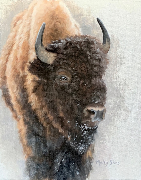 American Bison Portrait In Snow Winter Wildlife Painting Poster