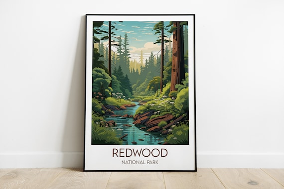 Redwood National Park Forest Stream Vintage Travel Illustration Poster