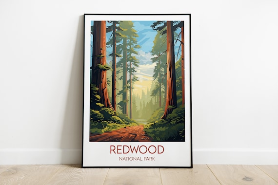 Redwood National Park Forest Path Retro Travel Poster With Tall Trees