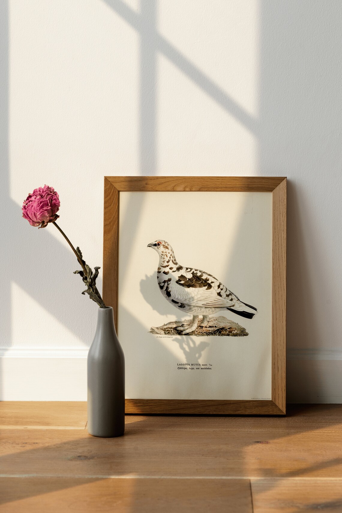 Rock Ptarmigan Vintage Nature Art Print Poster - Image 3