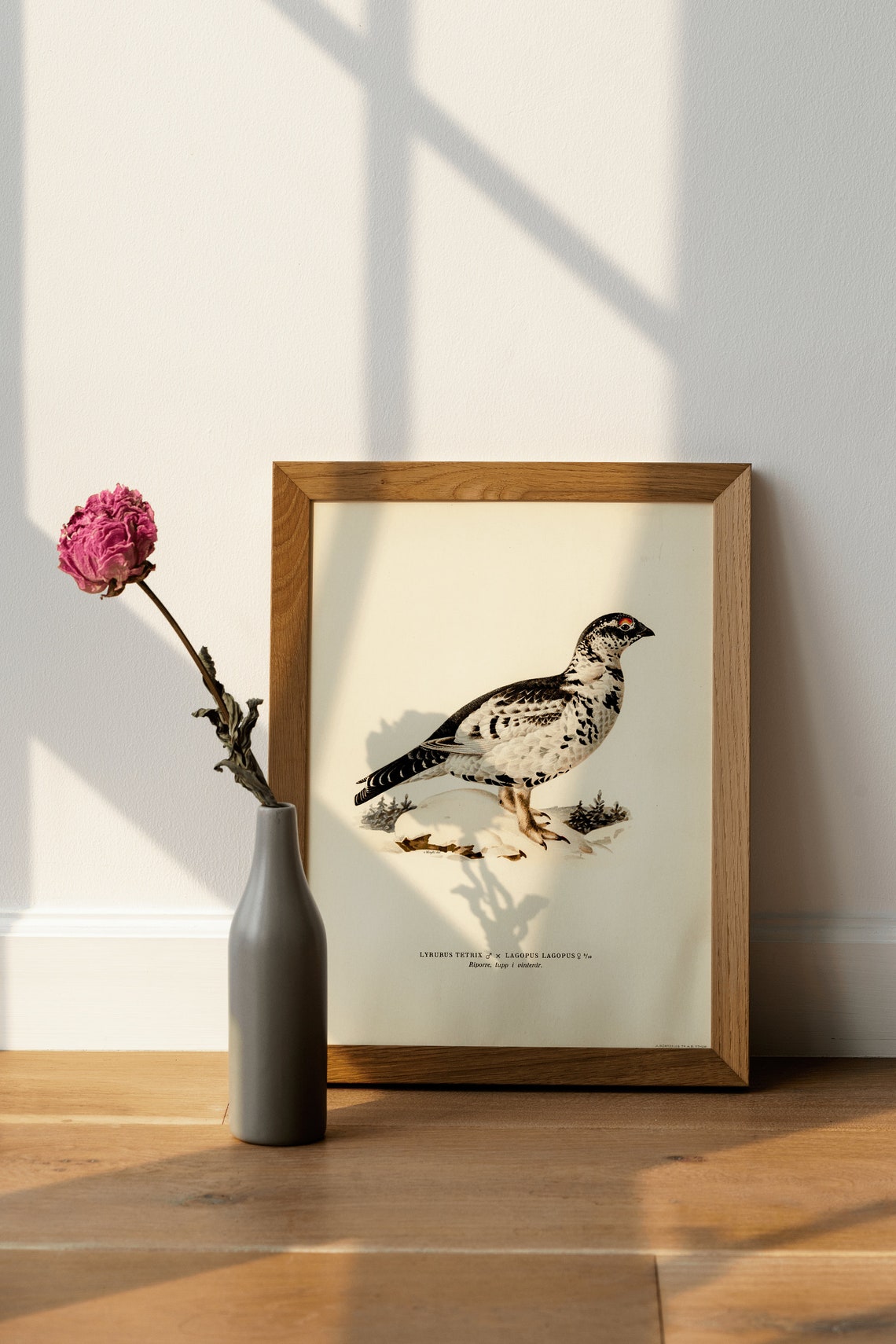 Willow Ptarmigan Hybrid Game Bird Vintage Winter Plumage Poster - Image 4