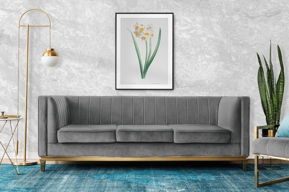 White Daffodil Narcissus Vintage Botanical Illustration Poster - Image 2