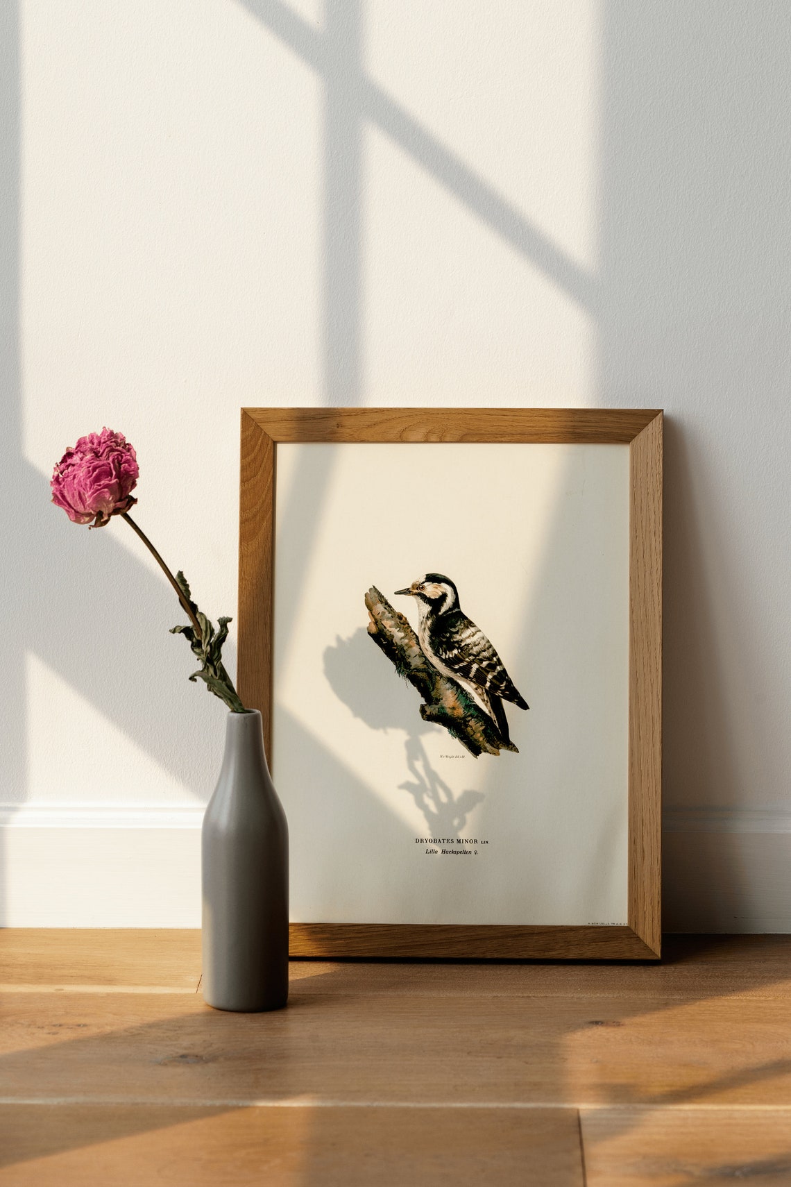 Lesser Spotted Woodpecker Vintage Bird Illustration Archival Poster - Image 4